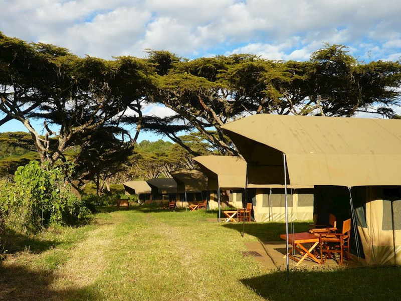 Home: Rafiki Tembo expeditions Ltd